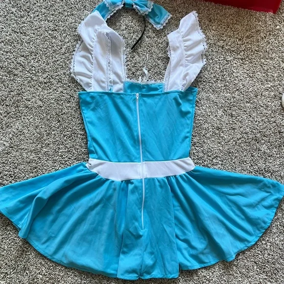 Women’s Alice in Wonderland Halloween costume - Picture 2 of 2